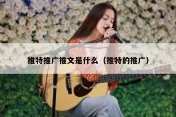 推特推广推文是什么（推特的推广）