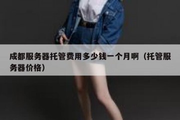 成都服务器托管费用多少钱一个月啊（托管服务器价格）