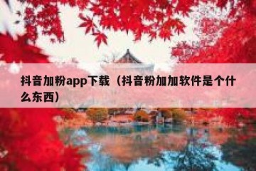 抖音加粉app下载（抖音粉加加软件是个什么东西）
