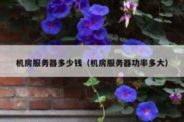 机房服务器多少钱（机房服务器功率多大）