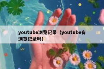 youtube浏览记录（youtube有浏览记录吗）