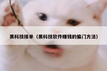黑科技接单（黑科技软件赚钱的偏门方法）