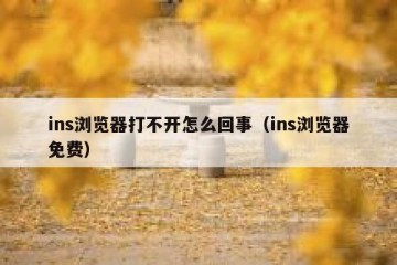 ins浏览器打不开怎么回事（ins浏览器免费）
