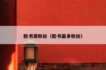 脸书涨粉丝（脸书最多粉丝）