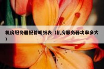 机房服务器报价明细表（机房服务器功率多大）