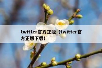 twitter官方正版（twitter官方正版下载）