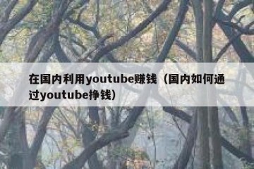 在国内利用youtube赚钱（国内如何通过youtube挣钱）