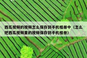 西瓜视频的视频怎么保存到手机相册中（怎么把西瓜视频里的视频保存到手机相册）