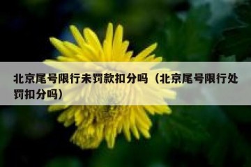 北京尾号限行未罚款扣分吗（北京尾号限行处罚扣分吗）