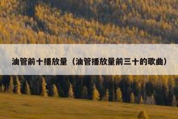 油管前十播放量（油管播放量前三十的歌曲）