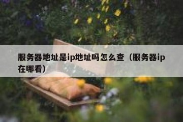 服务器地址是ip地址吗怎么查（服务器ip在哪看）