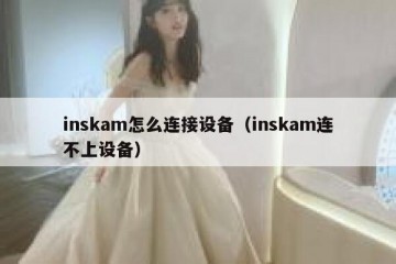 inskam怎么连接设备（inskam连不上设备）