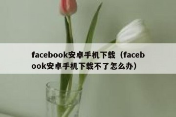 facebook安卓手机下载（facebook安卓手机下载不了怎么办）