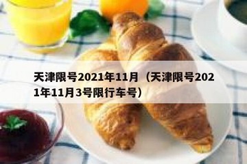 天津限号2021年11月（天津限号2021年11月3号限行车号）