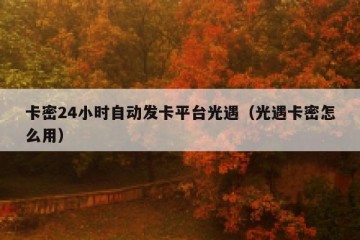 卡密24小时自动发卡平台光遇（光遇卡密怎么用）
