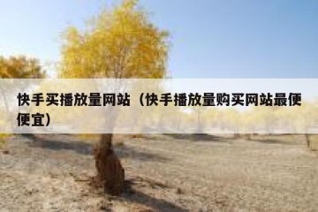 快手买播放量网站（快手播放量购买网站最便便宜）