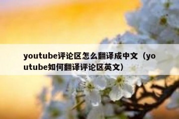 youtube评论区怎么翻译成中文（youtube如何翻译评论区英文）