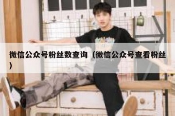 微信公众号粉丝数查询（微信公众号查看粉丝）