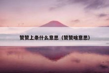 赞赞上条什么意思（赞赞啥意思）