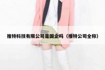 推特科技有限公司是国企吗（推特公司全称）