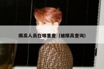 限高人员在哪里查（被限高查询）