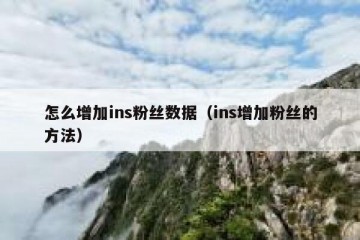 怎么增加ins粉丝数据（ins增加粉丝的方法）