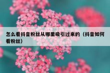 怎么看抖音粉丝从哪里吸引过来的（抖音如何看粉丝）