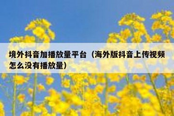 境外抖音加播放量平台（海外版抖音上传视频怎么没有播放量）