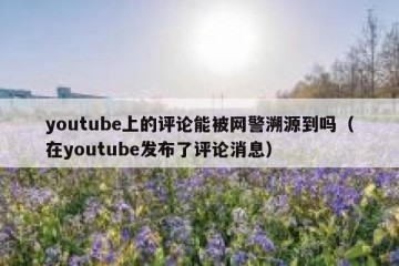 youtube上的评论能被网警溯源到吗（在youtube发布了评论消息）