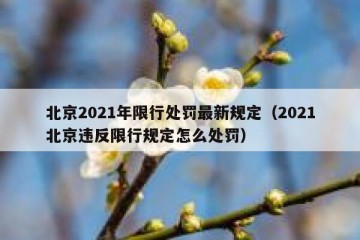 北京2021年限行处罚最新规定（2021北京违反限行规定怎么处罚）