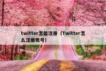twitter怎能注册（Twitter怎么注册账号）