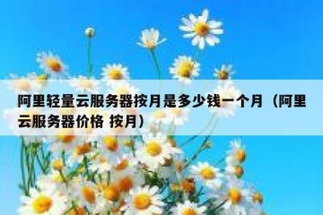 阿里轻量云服务器按月是多少钱一个月（阿里云服务器价格 按月）