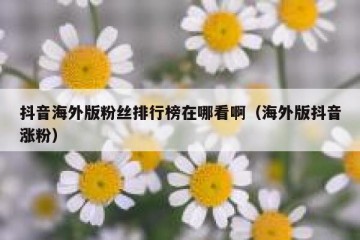 抖音海外版粉丝排行榜在哪看啊（海外版抖音涨粉）