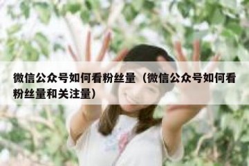 微信公众号如何看粉丝量（微信公众号如何看粉丝量和关注量）