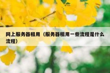 网上服务器租用（服务器租用一些流程是什么流程）