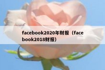 facebook2020年财报（facebook2018财报）
