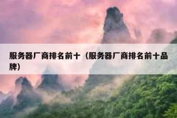 服务器厂商排名前十（服务器厂商排名前十品牌）