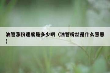 油管涨粉速度是多少啊（油管粉丝是什么意思）
