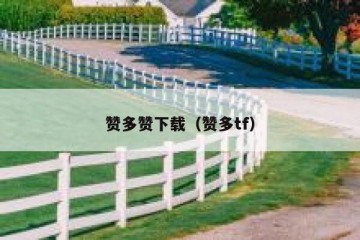 赞多赞下载（赞多tf）
