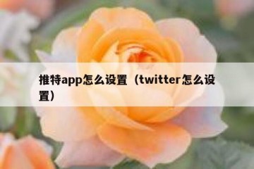 推特app怎么设置（twitter怎么设置）
