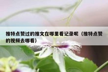 推特点赞过的推文在哪里看记录呢（推特点赞的视频去哪看）