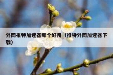 外网推特加速器哪个好用（推特外网加速器下载）