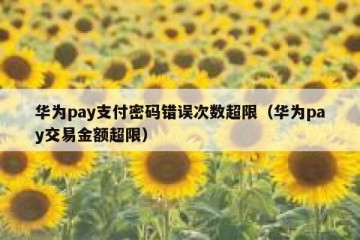 华为pay支付密码错误次数超限（华为pay交易金额超限）