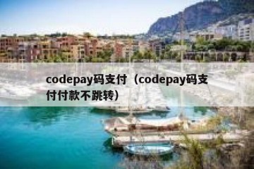 codepay码支付（codepay码支付付款不跳转）