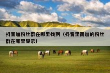 抖音加粉丝群在哪里找到（抖音里面加的粉丝群在哪里显示）