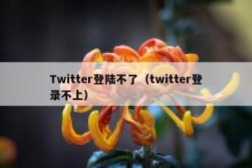 Twitter登陆不了（twitter登录不上）
