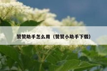 赞赞助手怎么用（赞赞小助手下载）