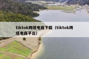 tiktok跨境电商下载（tiktok跨境电商平台）