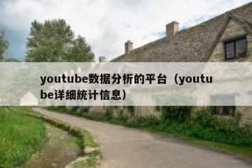 youtube数据分析的平台（youtube详细统计信息）