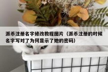 派币注册名字修改教程图片（派币注册的时候名字写对了为何显示了她的密码）